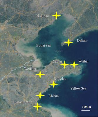 Epidemiology of turbot bacterial diseases in China between October 2016 and December 2019